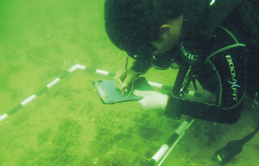 2010年中肯合作调查肯尼亚拉穆岛海域水下文化遗存