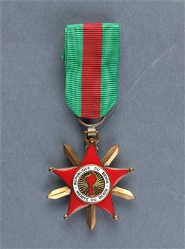 中国援助贝宁医疗队获得的贝宁国家骑士勋章