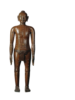 明针灸铜人体模型