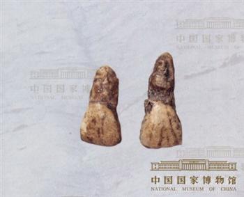 勺形门齿 铲形门齿,正面铲形门齿图片,铲形门齿图片大全_大山谷图库