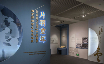 片羽重辉——国家博物馆文保成果展