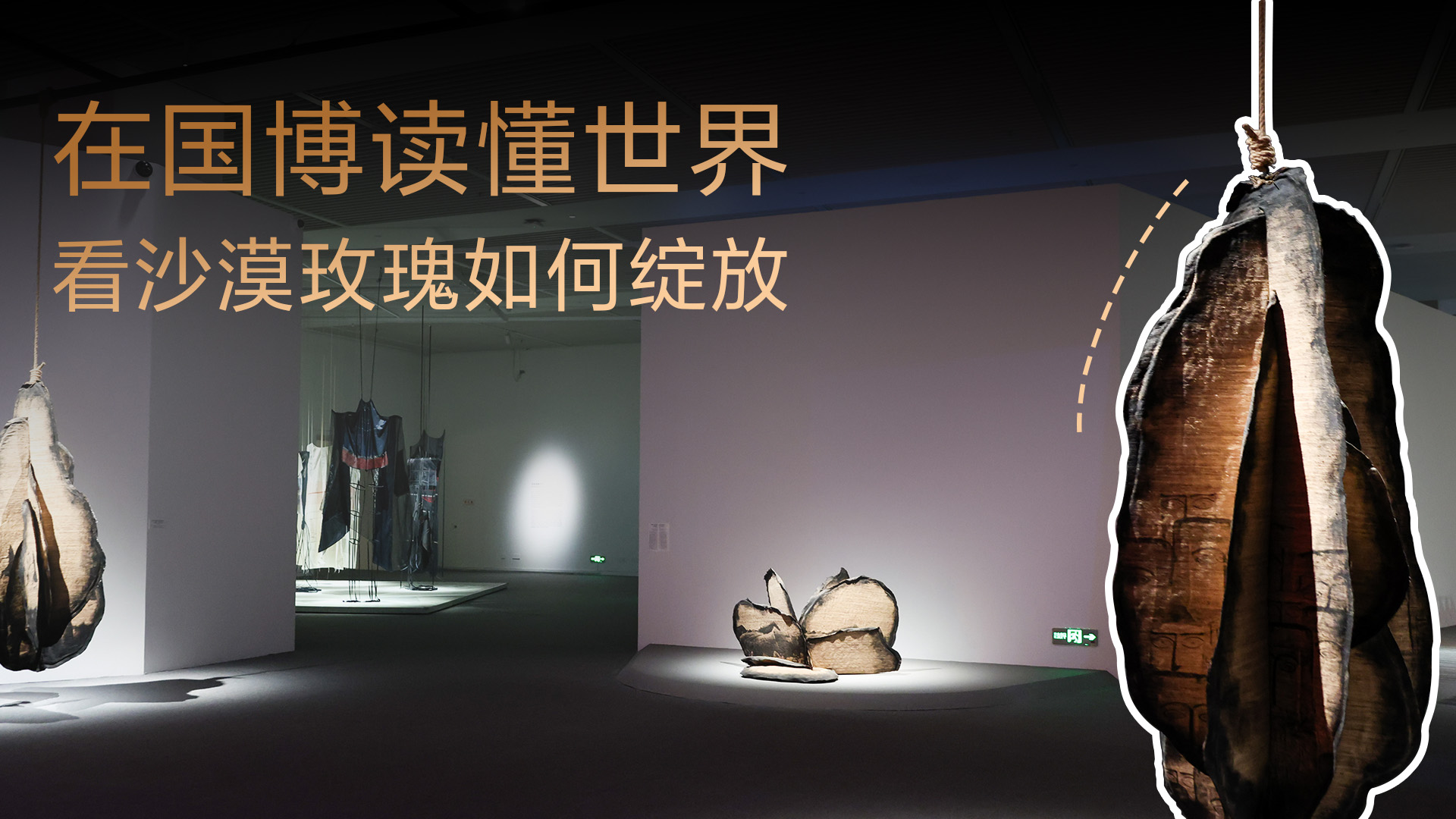在国博读懂世界｜看沙漠玫瑰如何绽放