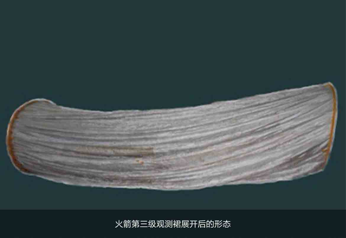 lorem ipsum dolor sit