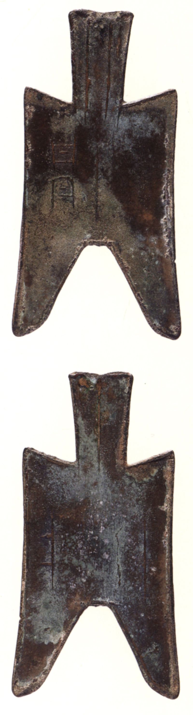 尖足布（甘丹）