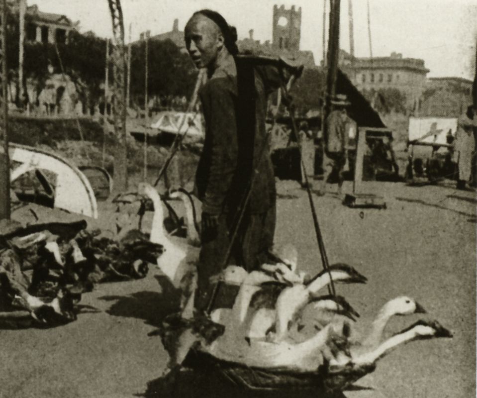 到市场去卖鹅的小贩