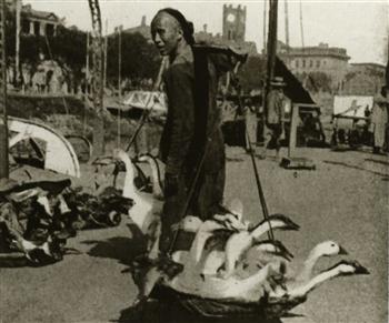 到市场去卖鹅的小贩