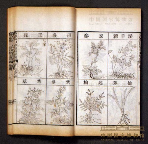 《本草纲目》