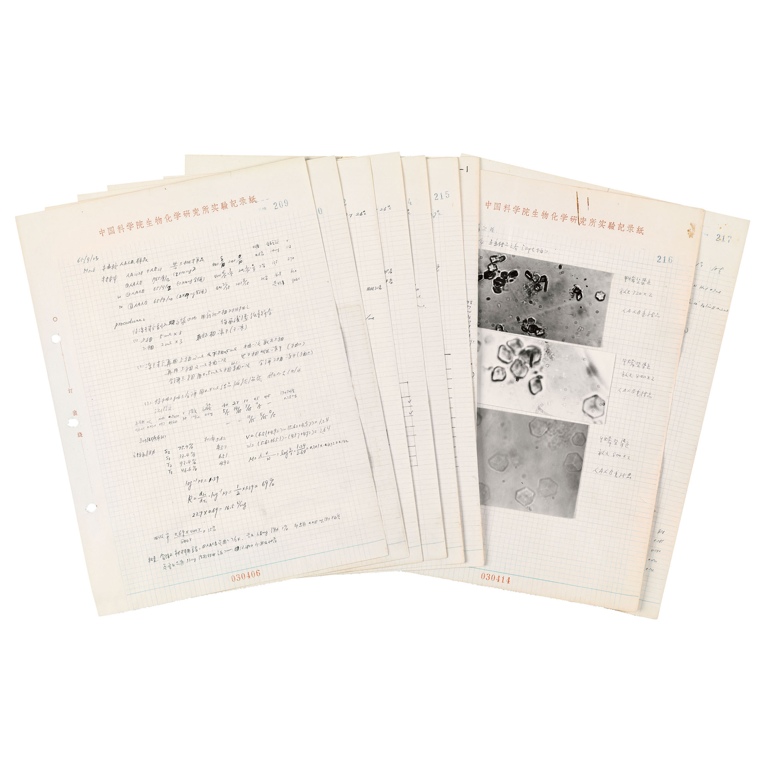 人工合成牛胰岛素实验记录