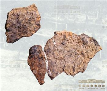 含炭化稻谷陶片