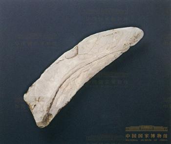 蚌镰