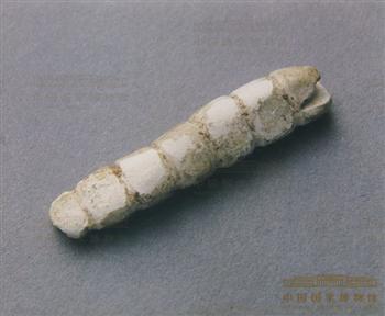 玉蚕