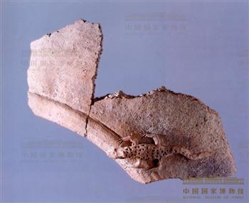 堆塑壁虎陶片