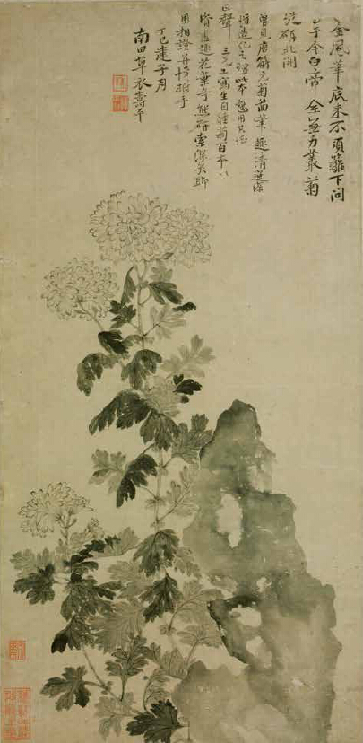菊石圖 File:布丹特菊石化石.jpg - Wikimedia Commons